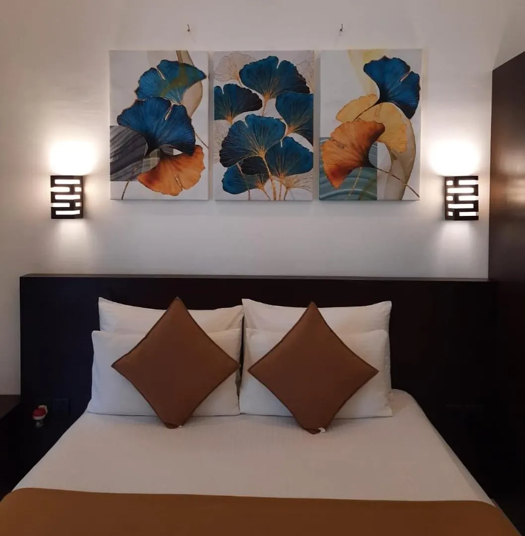 D Plus B&B Negombo Guest house