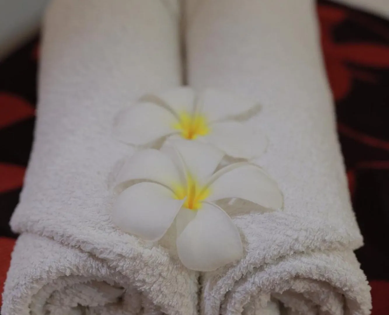 Guest house D Plus B&B Negombo