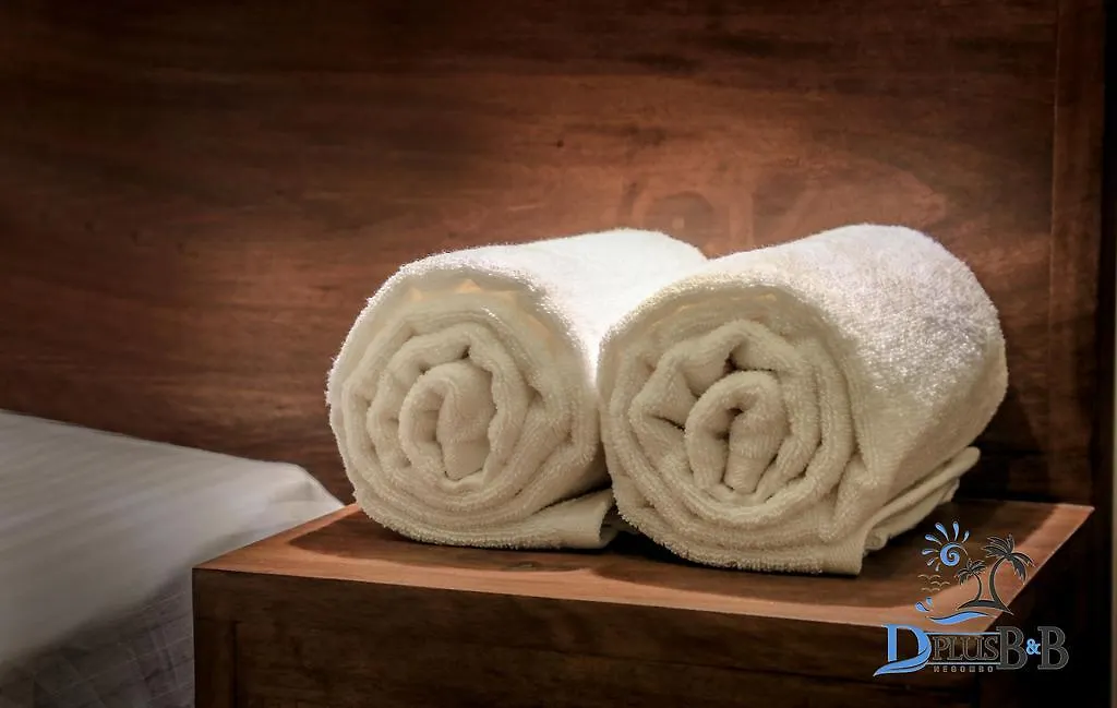 D Plus B&B Negombo 2*,